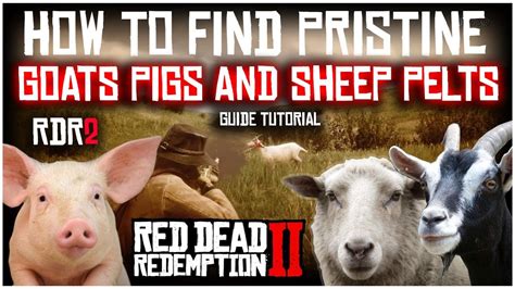 rdr2 goat pelt.